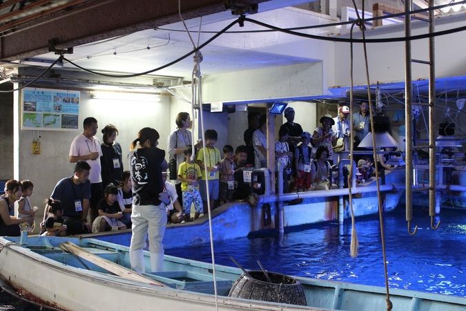 水族館裏側ウォッチング