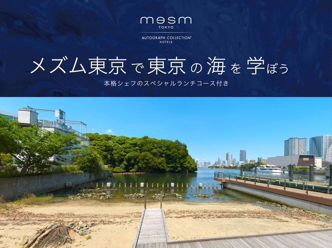 夏休みの自由研究企画「メズム東京で東京の海を学ぼう」８月３日＆４日