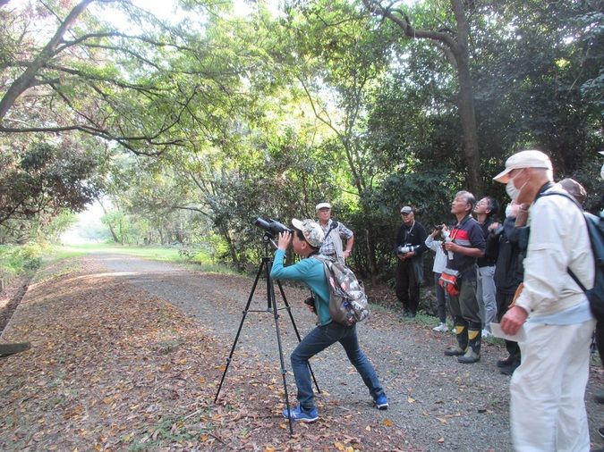 第６回ミニ探鳥会　探鳥会