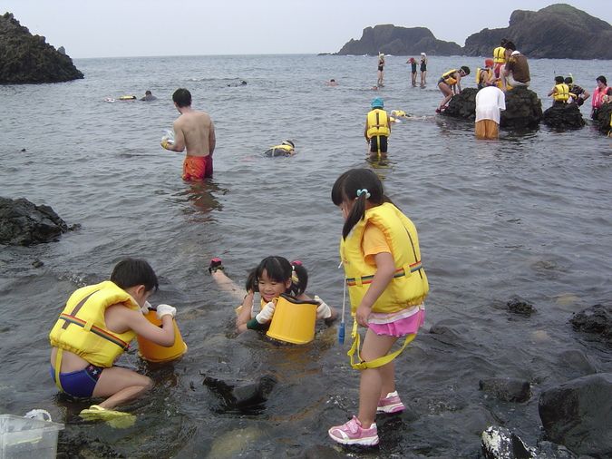 磯の生物観察会（磯遊び）