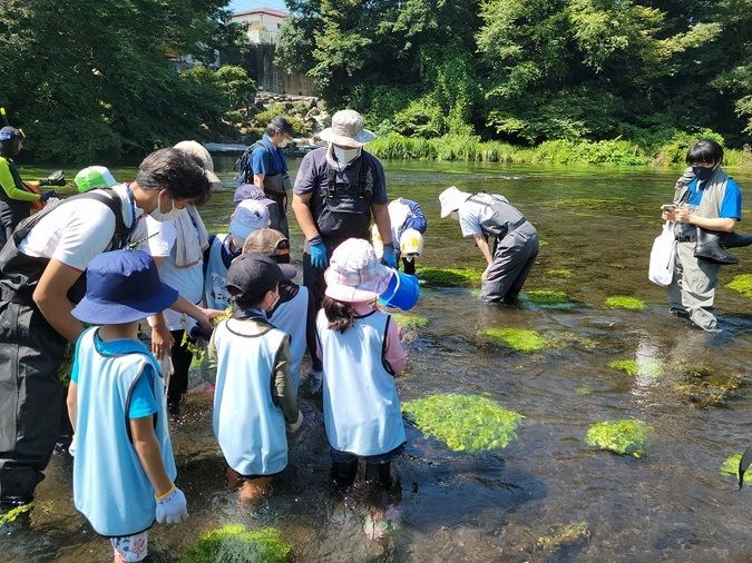 柿田川湧水の環境を守るお仕事をしよう！