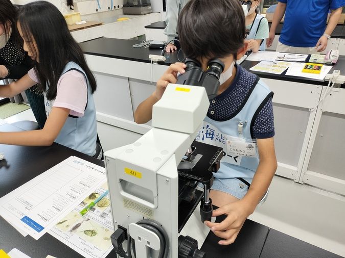 神戸大学でプランクトンの研究員のお仕事に挑戦しよう！