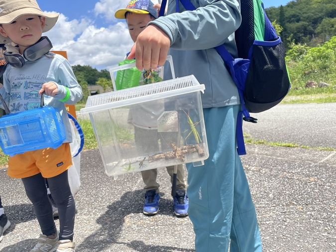 【丹波篠山】【7月】夏の昆虫大発見！虫博士とオニヤンマを探しに大冒険