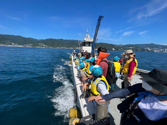 西浦湾での養殖漁業のお仕事に挑戦しよう！