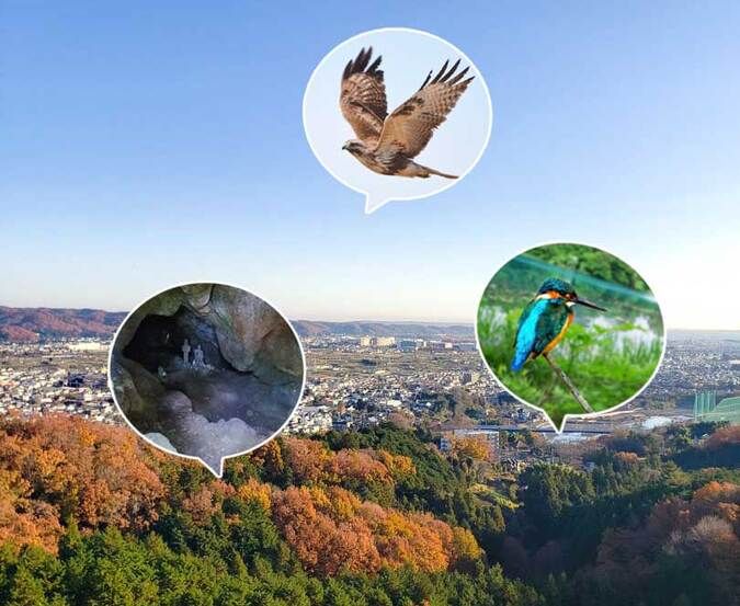 大地の遺産と野生生物を探す山登り！アドベンチャー体験（網代弁天山編）