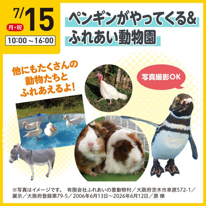 ペンギン撮影会&ふれあい動物園