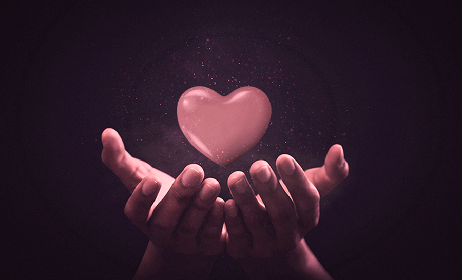 Amor, agradecimiento y perdón