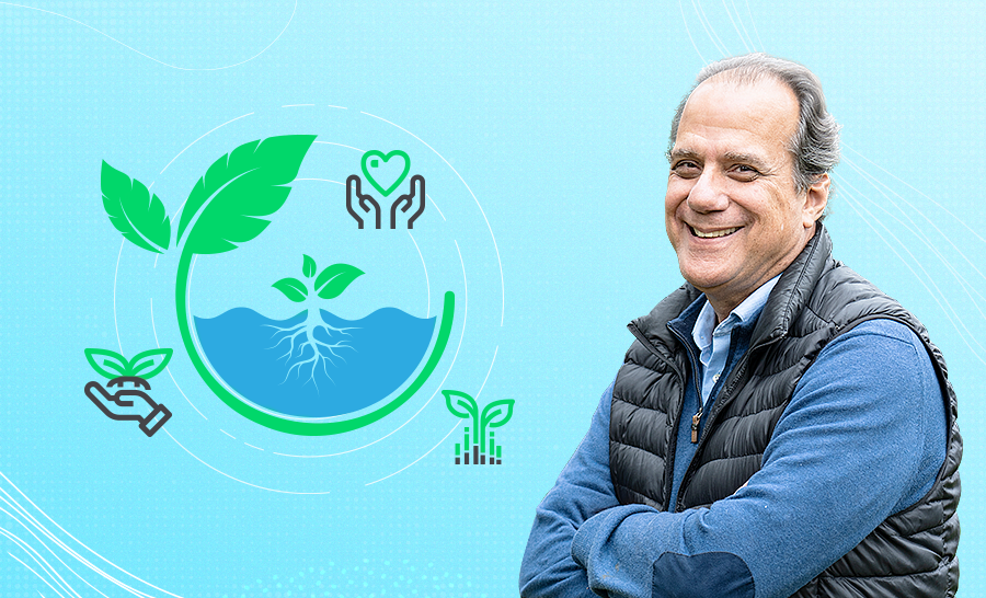 Curso online Hidroponía y Seguridad alimentaria certificado