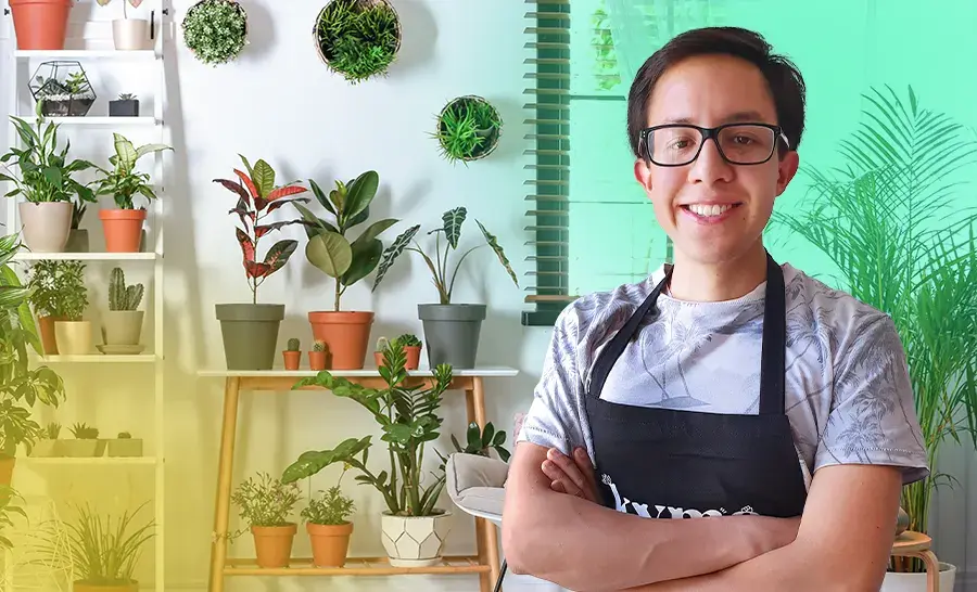 Curso online Plantas de interior: Técnicas para su cuidado certificado