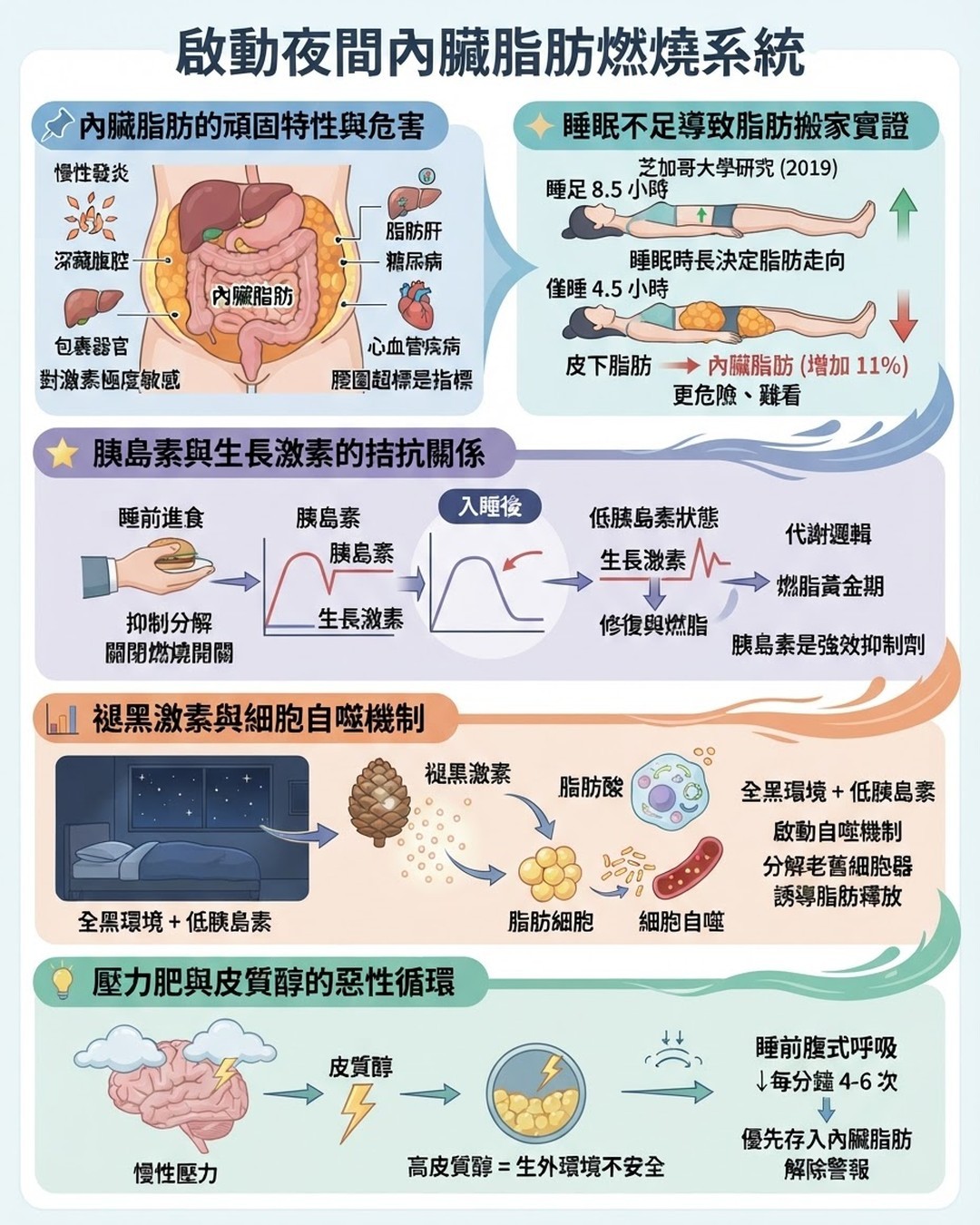 Mind Map Cover Image