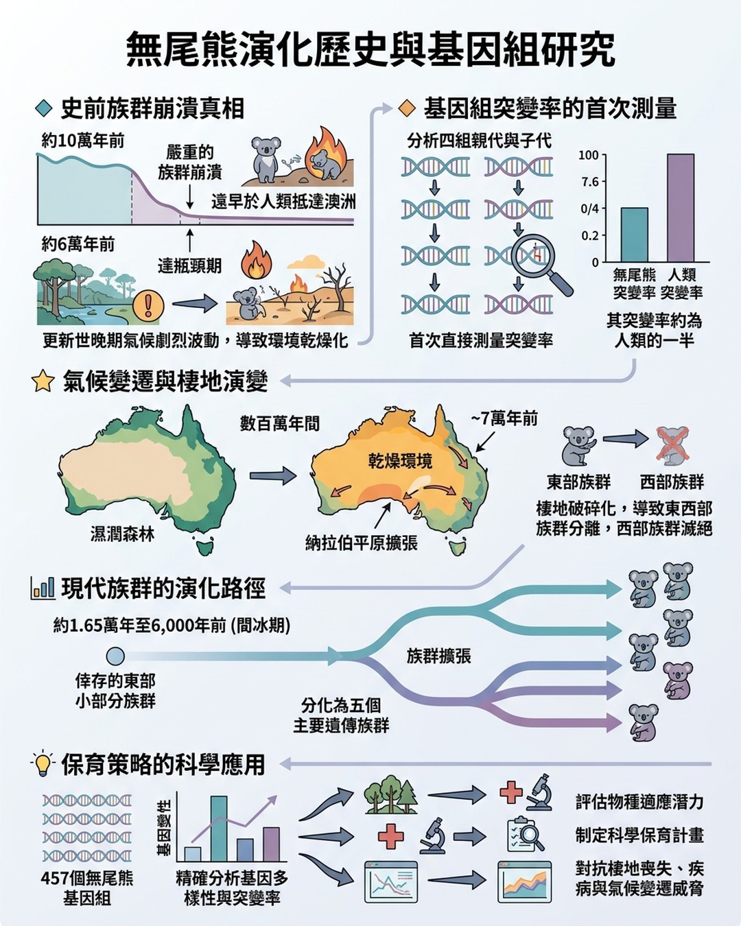 Mind Map Cover Image