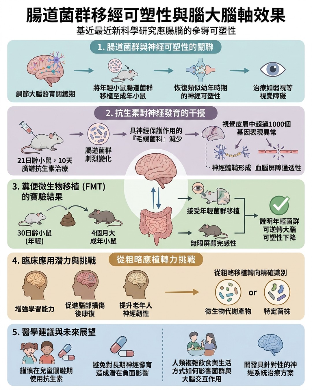 Mind Map Cover Image