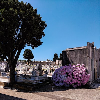 Cemetery Amadora 4