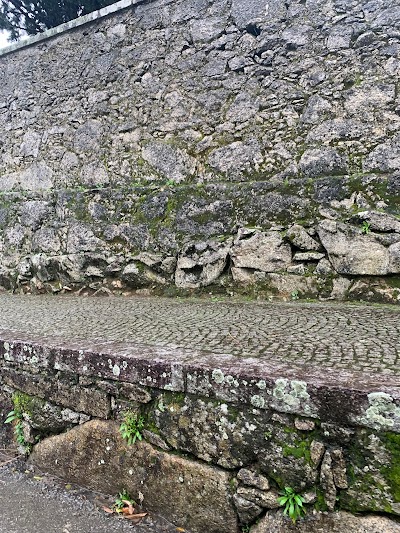 Cemitério de Arouca 4