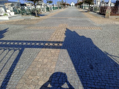 Cemitério De Barcelos 4
