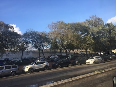 Cemitério de Benfica 5