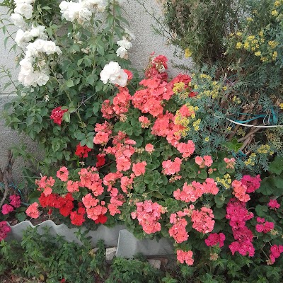 Cemitério de Brunhoso 4