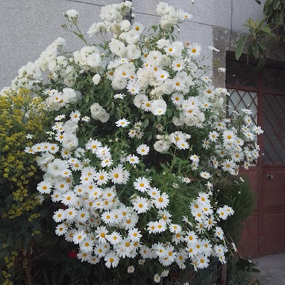 Cemitério de Brunhoso 5