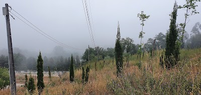 Cemitério de Monchique 2