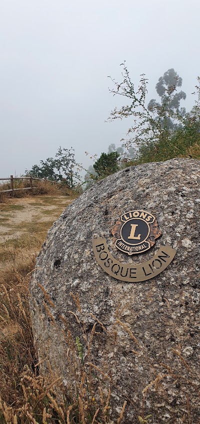 Cemitério de Monchique 3