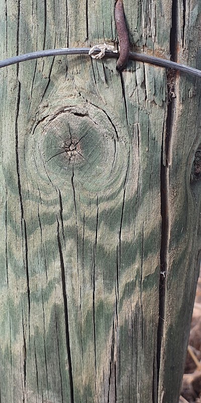 Cemitério de Pedrogão 3