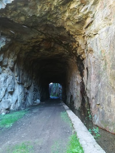 Cemitério de Pedrogão Pequeno 4