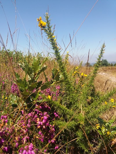Cemitério de Santa Maria - Arrifana 2