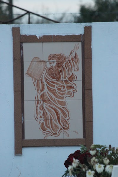 Cemitério de Vagos 5