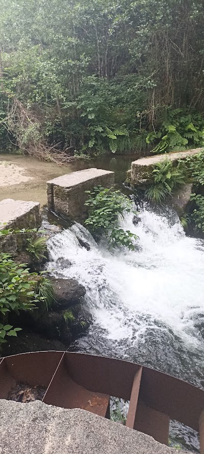 Cemitério de Vieira do Minho 2