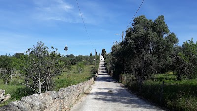 Cemitério Querença 4