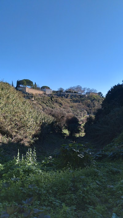 Câmara Municipal de Loures 5