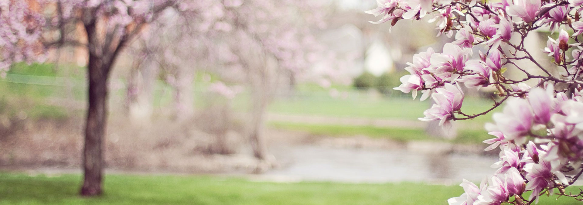 Funerária Holly Spirit Unipessoal Lda 4