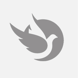 Agências Funerárias Pedro & Viegas 2