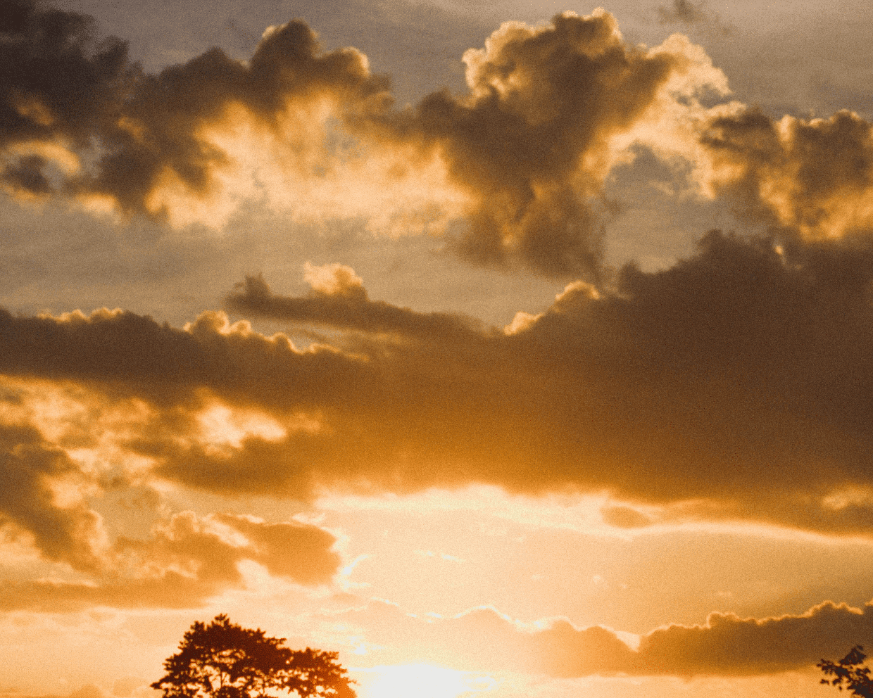 Agencia Funeraria Palhacense, Lda. 5