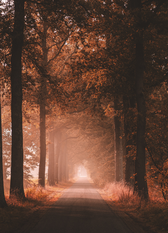 Funerária Central Póvoa Da Galega 2
