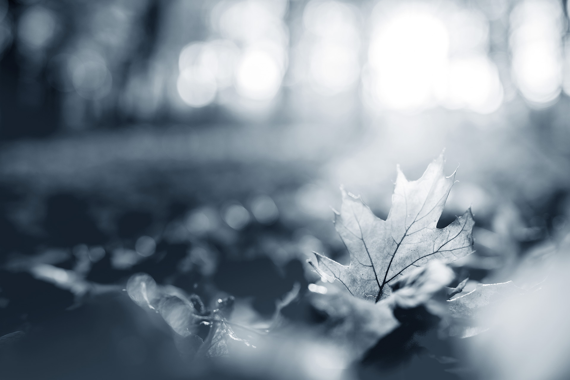 Agência Funerária Velhinho 4