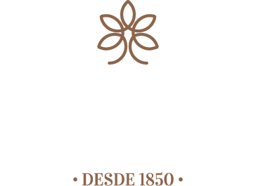 MIRA 3