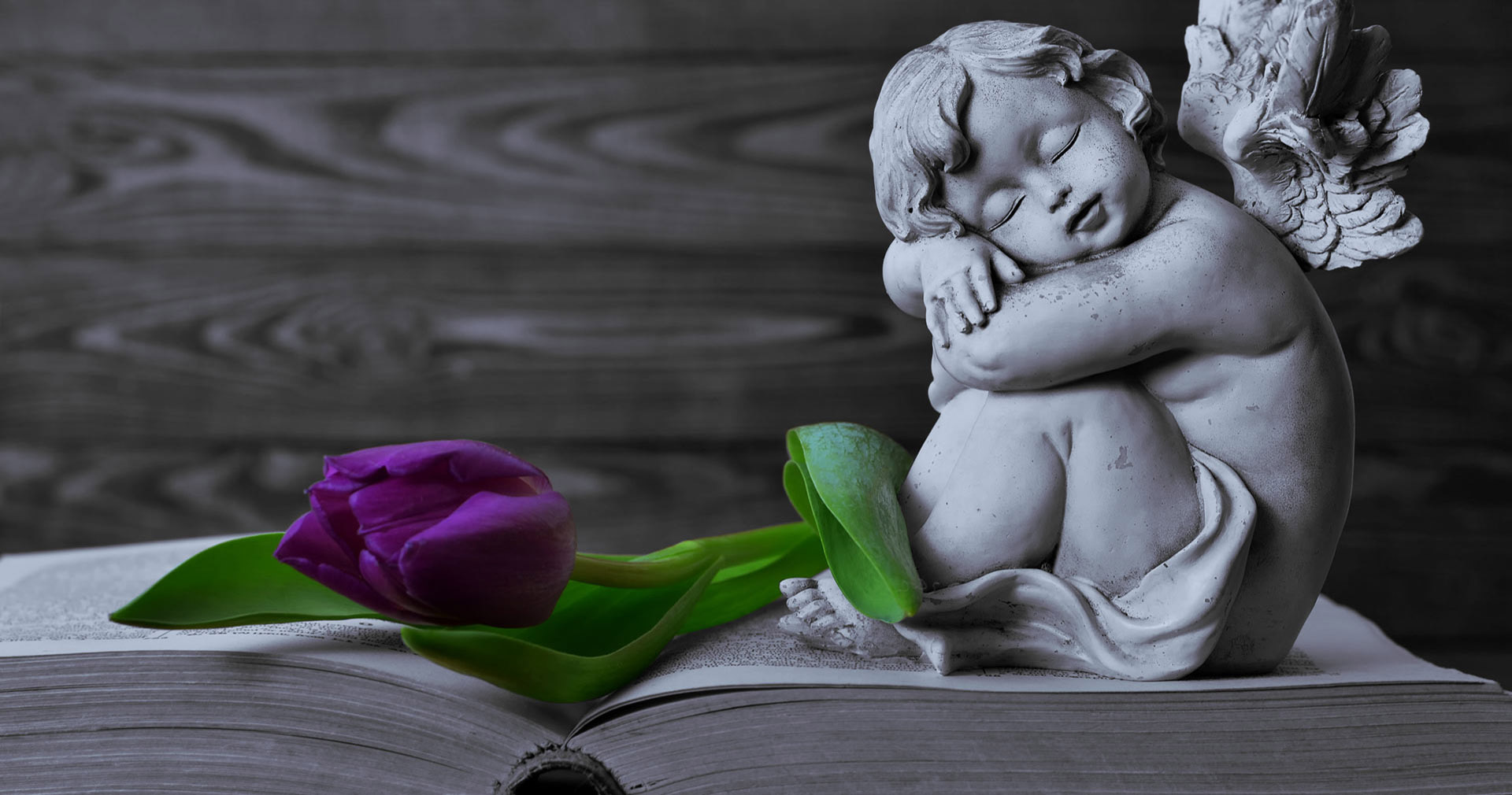 Agência Funerária Brites 5