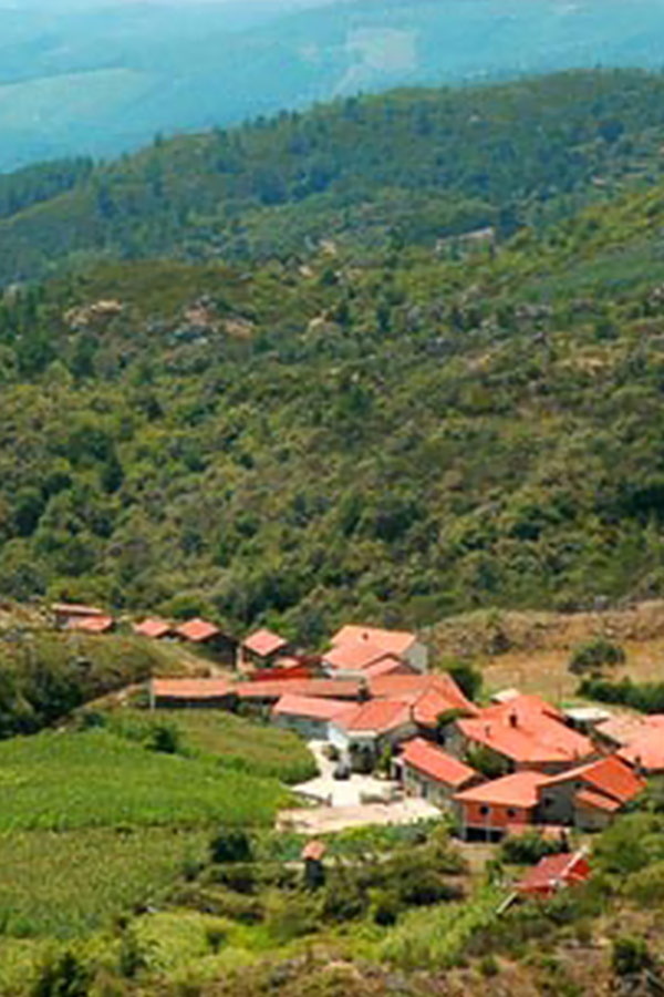 Agência Funerária Triunfo - Odivelas 3