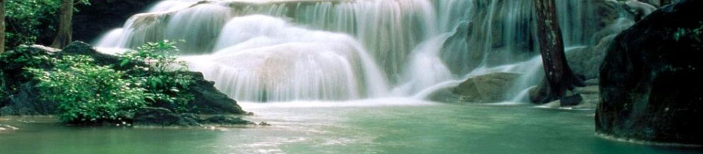 Agência Funerária Henriques & M Otília Lda 2