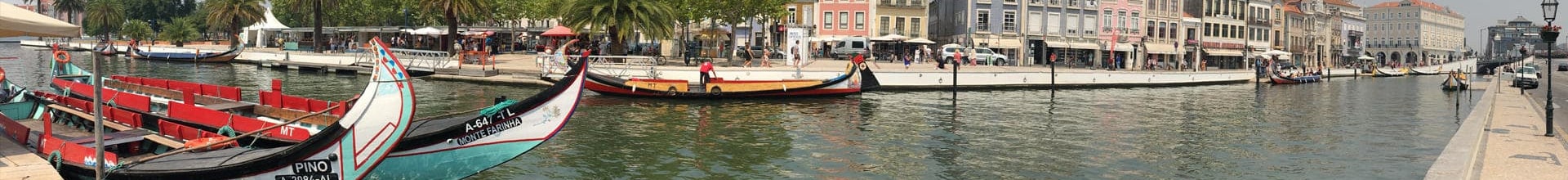 Funerária Traqueia 1