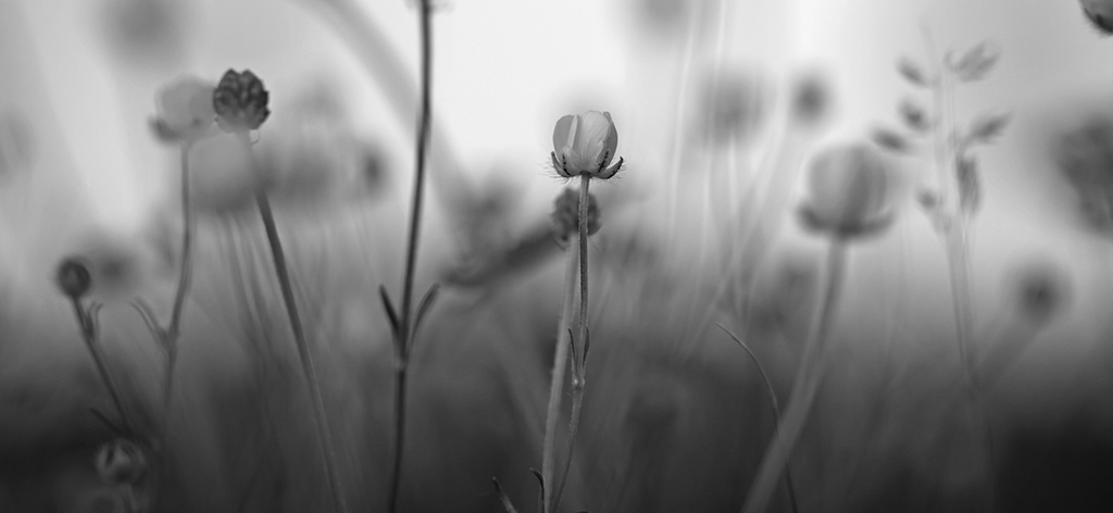 Agência Funerária Vilarealense 5