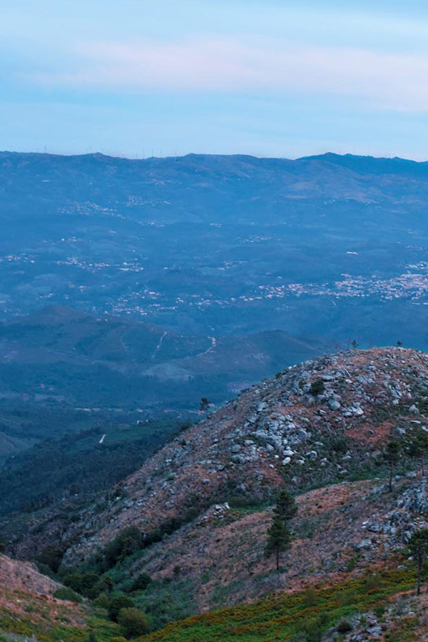 Funerária Triunfo - Avenida de Roma 4