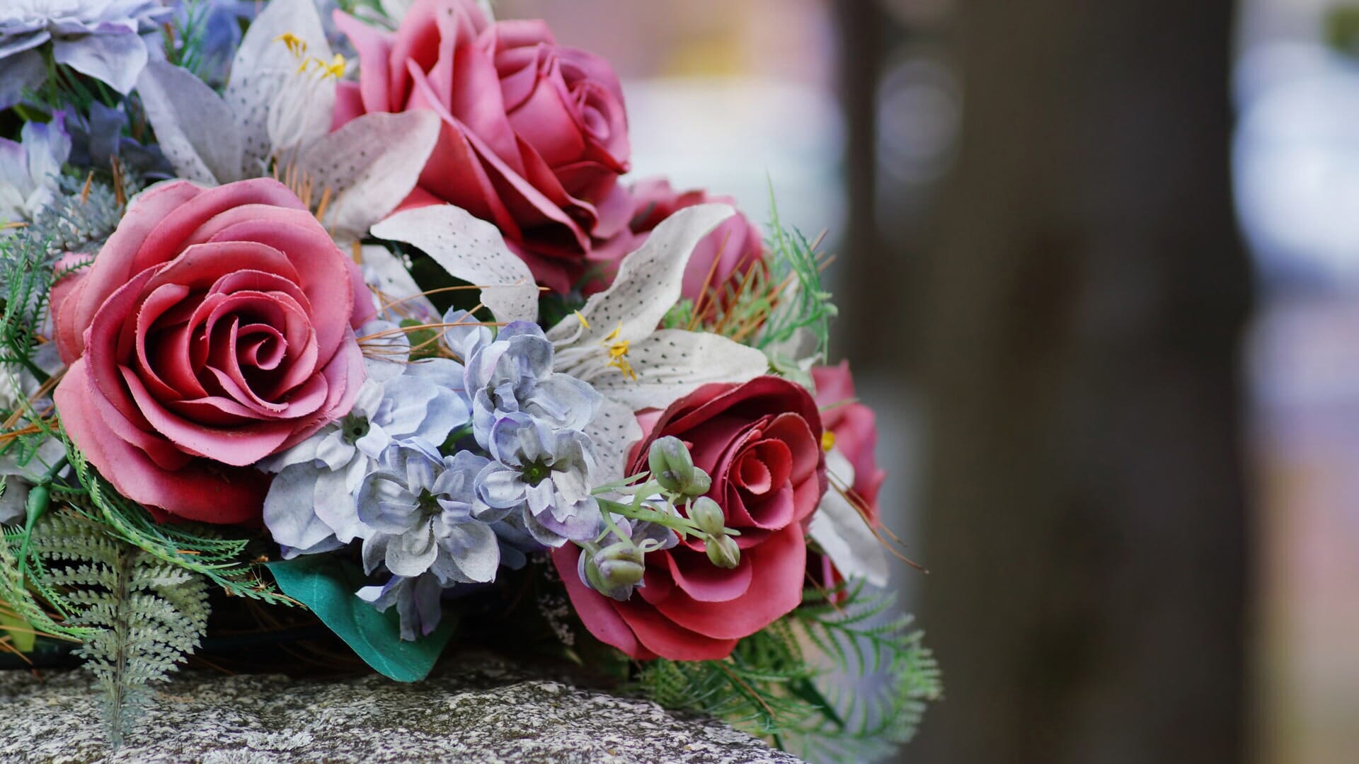 Cerfuni-Funerária Nacional 5