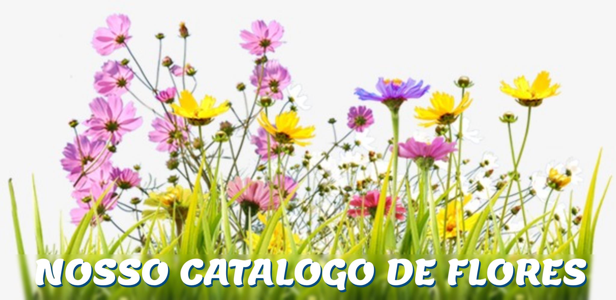 Hugo Cardoso, Agencia Funerária Unipessoal Lda.