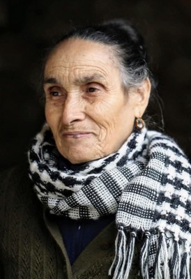 Photo of Maria do Rosário Ribeiro