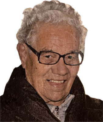 Photo of Palmira Farinha