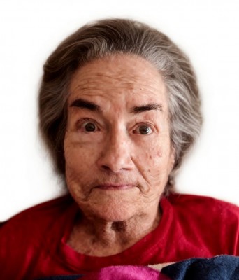 Photo of Maria Helena Paulista Ferreira Moitinho