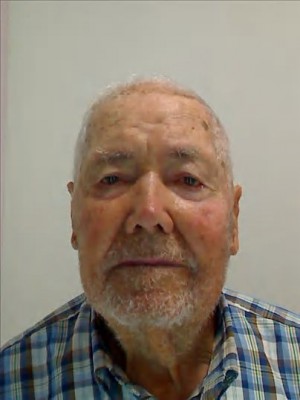 Adelino Alves Assis
