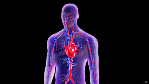  Novo teste identifica risco de ataque cardíaco